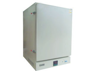 500度恒温干燥箱BPG系列